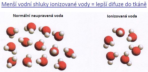 jakfunguje-actimaris-7