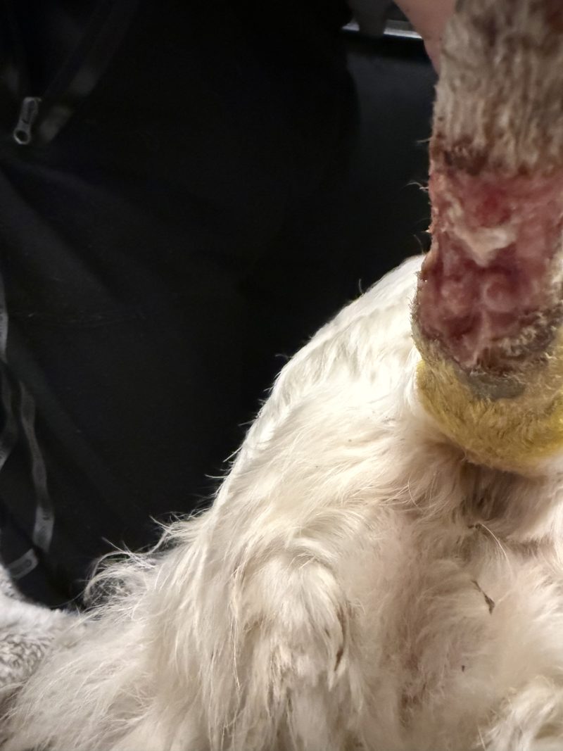 Image #1 from Markéta Mičudová