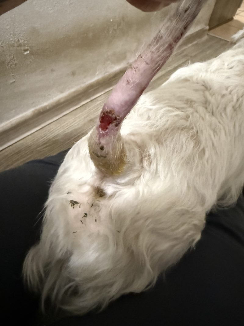 Image #2 from Markéta Mičudová