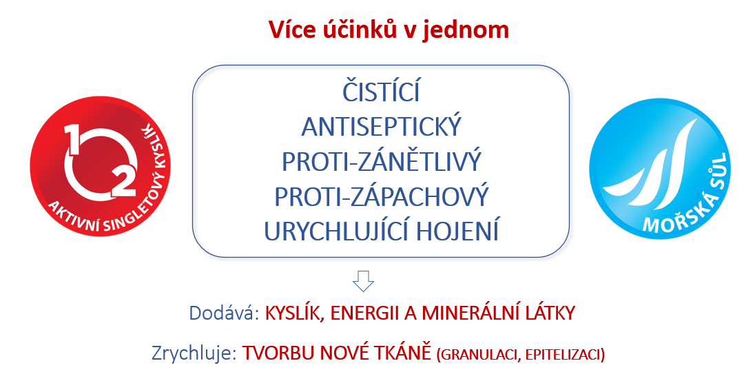 Výstřižek-E-1