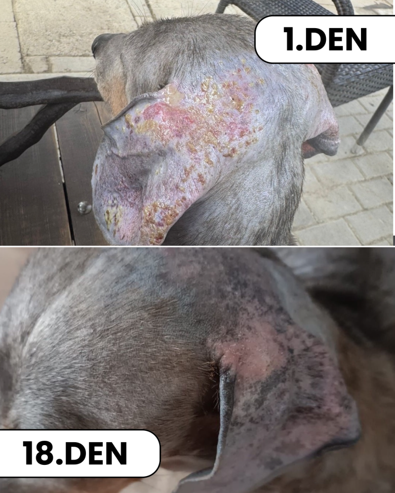 Image #1 from Aneta Křístková